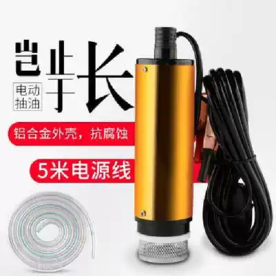 Diesel 24v oil pump 12v electric oil pump car diesel oil pump small electric pump pump diesel oil pump