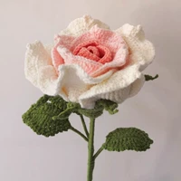 Набор материалов, упаковка, Таиланд, градиент