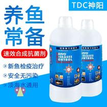 New Shenyang TDC white point rotten meat potion of light sea water general inspection and viewing quarantine water fish sea water tank sea water fish