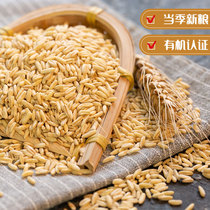 Pick up flavor Dad Baby toddler organic oats New rice Childrens auxiliary germ rice grain whole grain 500g*3 bags