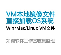 VM Virtual machine VMware Local system image vmdk file win linux mac Direct load and use