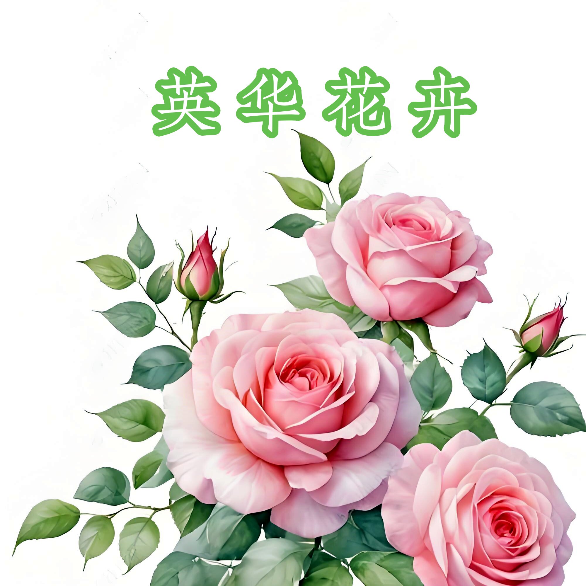 英华花卉的LOGO
