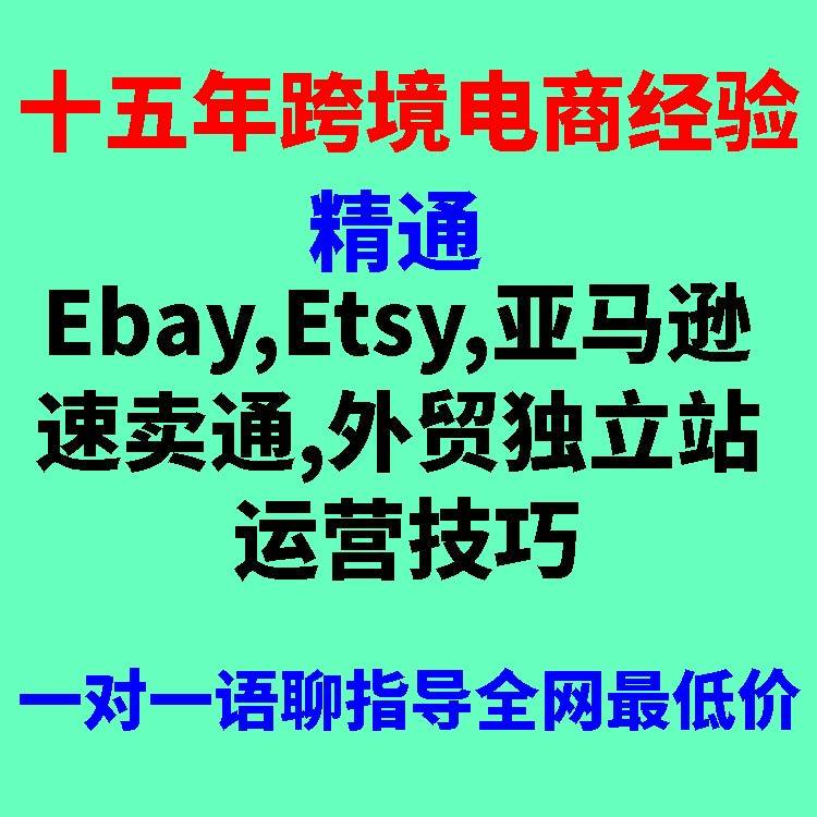 Ebay Amazon Etsy Foreign Trade Independent Site Shopify Cross-Border E-Commerce Operation Guidance and Consulting Support Services