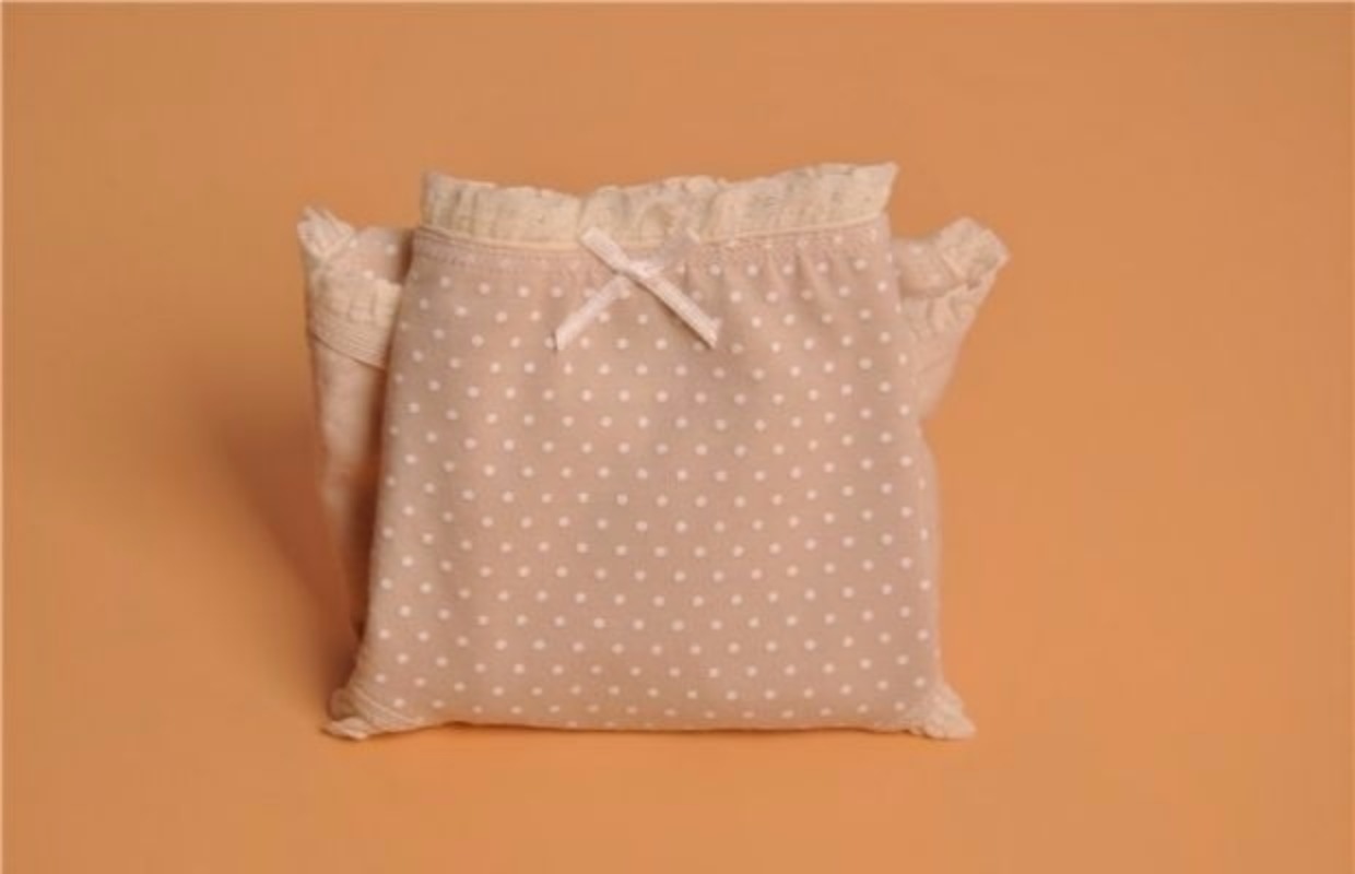 Hộp quà tặng Cotton Element Chính hãng Mùa hè thoáng khí Cotton Đồ lót của phụ nữ Ren nữ Kháng khuẩn nhỏ Boxer do lot nu