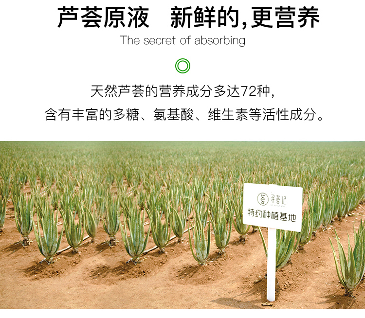 Tìm kiếm aloe vera rong biển hạt mặt nạ làm sạch sâu hydrating mặt nạ đen mặt nạ đậu đỏ