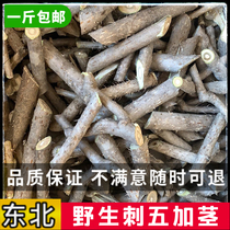 Éperons sauvages du Nord-Est Stab Stick racine Crème de tige 5 Gapine Peel Chinese Herbal Medicine Tingle à tige 500 gr