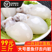 Fresh cuttlefish 3kg fresh frozen small squid seafood aquatic products wild seed black frozen ink bucket sea rabbit