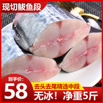 Fresh cut mackerel section sea catch big mackerel seafood fresh aquatic products 5kg frozen sea fish mackerel middle section