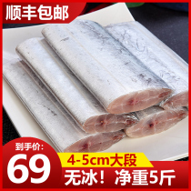 The middle section of the fresh super large Donghai fresh seafood aquatic aquatic frozen knife fish 5kg small eye with fish section sea fish