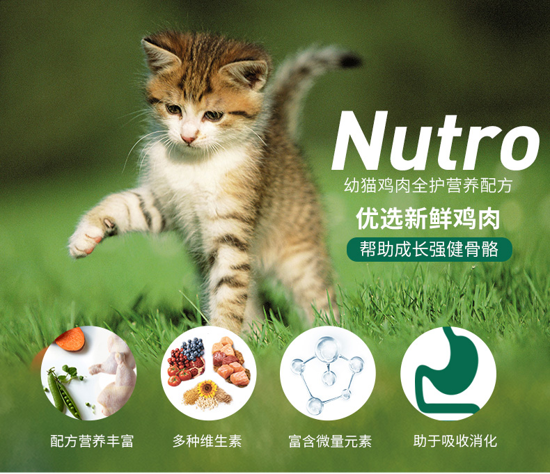 [Premium] Meishi Nutro nhập thực phẩm tự nhiên, mèo non, gà, gạo nâu, thức ăn cho mèo, 3 pound, bánh sữa mèo, 1-4 tháng - Cat Staples hạt thức ăn cho mèo