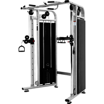 Salle de remise en forme Commercial Small Flying Bird Gantry Professional Comprehensive Trainer Arms Machine Cross Nip Chest Multifunction