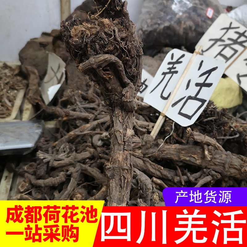 Sichuan Qiang Live sliced Chinese herbal medicine one big hair Chengdu medicinal herbs market 100g