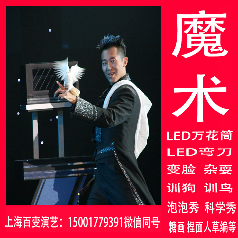 Shanghai Magic Show Stage Magic Show Performance Birthday Party Helps The Company Door-to-Door Service Mall Commercial Performance