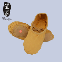 Dance practice shoes Womens full cloth elastic comfortable cat scratch shoes Classical dance Yoga Ballet body belly dance soft-soled shoes