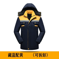 Тибетский синий с желтым (внутренний внутренний орхидан)