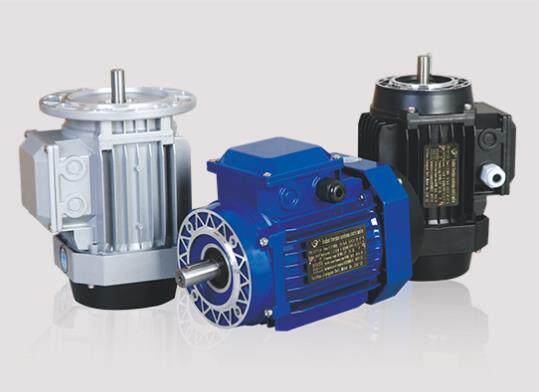 GS5624 6314 6324 7114 7124 7134 8024 Y90S-4 Y100L-4 Deli Motor