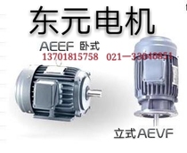 Taiwan TECO Motor Motor 0 18K-0 37K0 75K1 5K2 2K3 7KW 2P 4P 6P