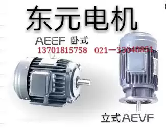 Taiwan Dongyuan TECO motor motor 0 18K-0 37K0 75K1 5K2 2K3 7KW 2P 4P 6P