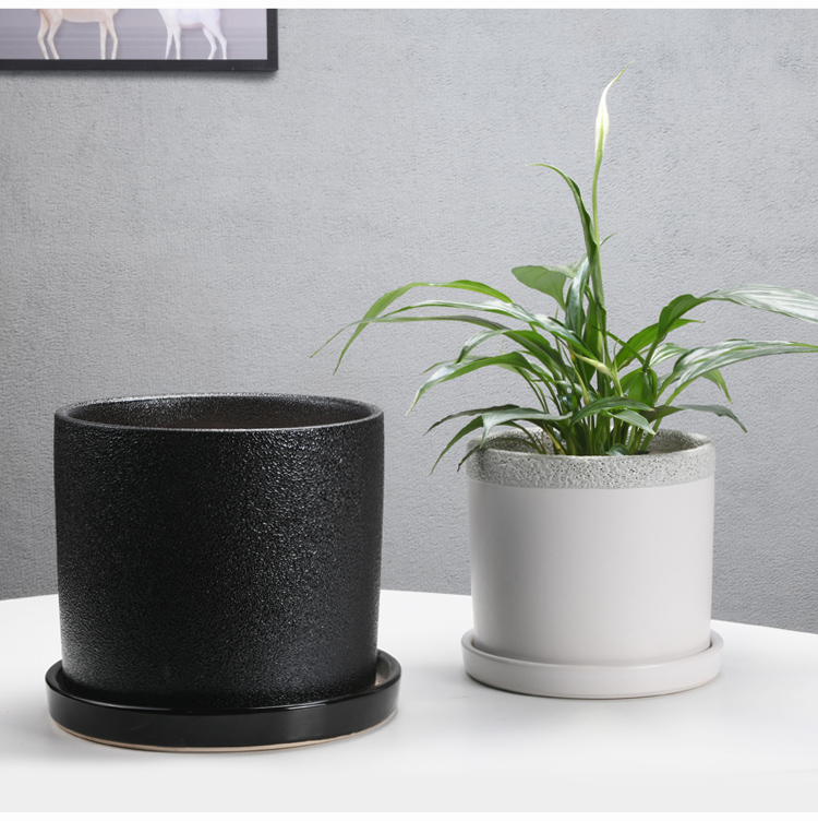 Of meat in the pot ceramic wholesale contracted green plant cylinder pot wholesale sitting room with extra large ceramic tray