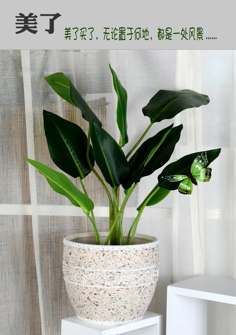 Ceramic large wholesale flower POTS clearance creative butterfly orchid green plant contracted sitting room balcony, fleshy flowerpot pack mail