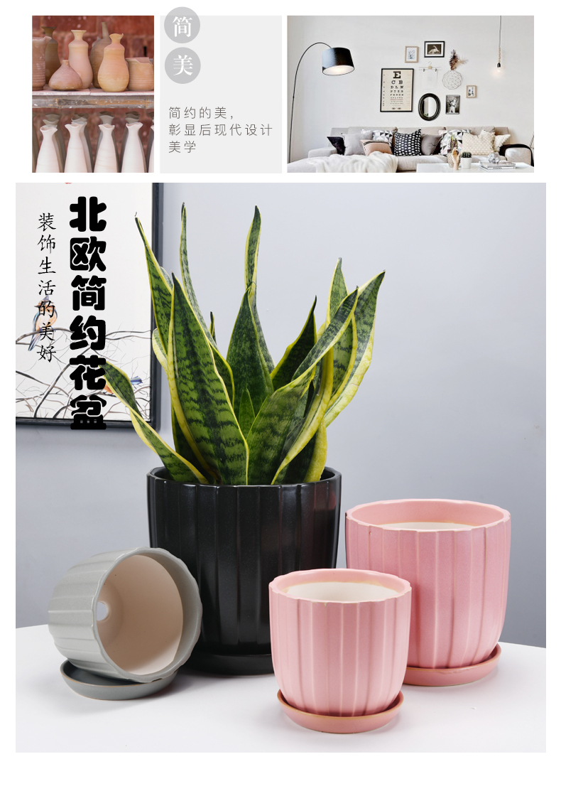 Of meat in the Nordic contracted large floor balcony flowerpot ceramics sitting room indoor orchid wholesale package mail desktop