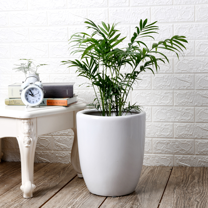 I household flowerpot ceramic oversized rich tree green plant trees wholesale bag mail sitting room interior basin of big flower pot