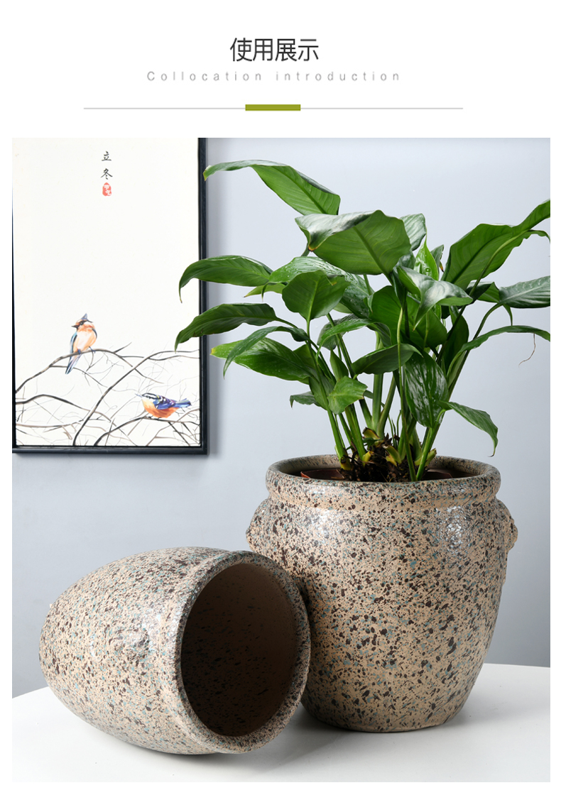 In ceramic flower POTS of meat contracted sitting room, miniascape of high - grade banyan basin old running the flowerpot oversized bag mail green plant