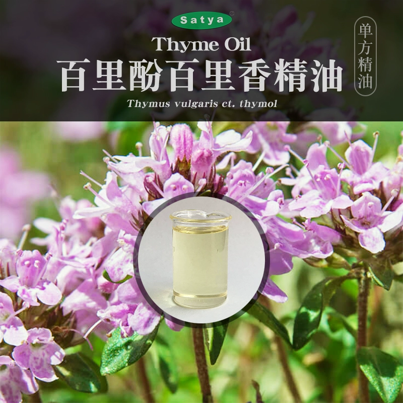 satya Ấn Độ Thymol Thyme 10ml Chăm sóc da đơn phương Tinh dầu Loại bỏ da Làm sạch dầu thơm Cây tinh dầu - Tinh dầu điều trị