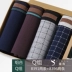 Jindu Quần lót nam Boxer Quần cotton Kích thước lớn Bốn góc Quần Thanh niên Chàng trai Quần Cotton Quần short cotton quần xì giấy Võ sĩ quyền Anh