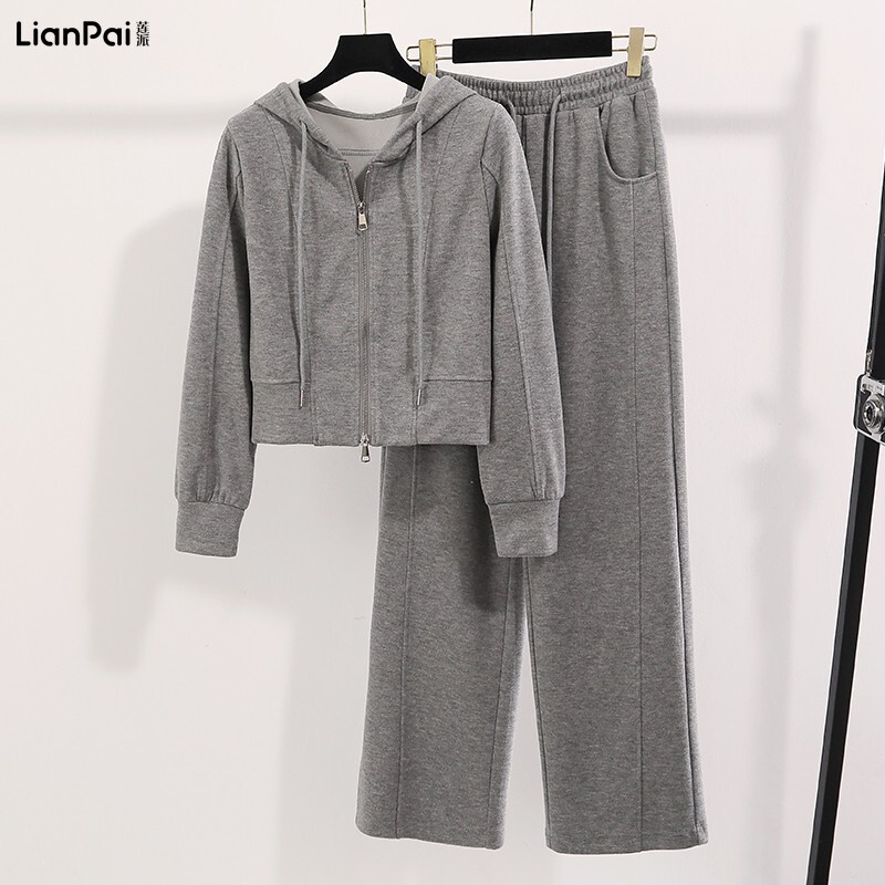 Gray High-End Hooded Sweatshirt Sports Casual Suit for Women 2026 Autumn New Style Loose Wide-Leg Pants Two-Piece Set Gray High-End Hooded Sweatshirt Sports Casual Suit for Women 2026 Autumn New Style Loose Wide-Leg Pants Two-Piece Set