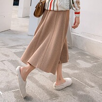 Knitted skirt winter with sweater autumn and winter New long A- line dress slim waist Joker skirt