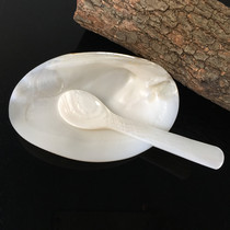 Polished freshwater shells creative home accessories photography props high-end caviar dishes spoons seasoning utensils