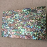 Утолщенный новозеландский натуральный абалон 0,5 мм раковина Blue -Green Pusne Patter