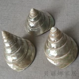 贝丽娜 Прямые продажи с фабрики, натуральные подковообразные ракушки, креативные украшения для домашнего офиса, аквариума, ландшафтные украшения, ремесленные украшения