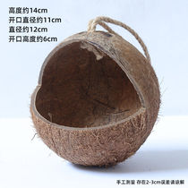 HKPZ peony tiger skin warm breeding nest natural coconut shell nest parrot nest warm polished coconut shell bird nest parrot