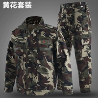 Высококачественный набор желтого цветов (один набор)