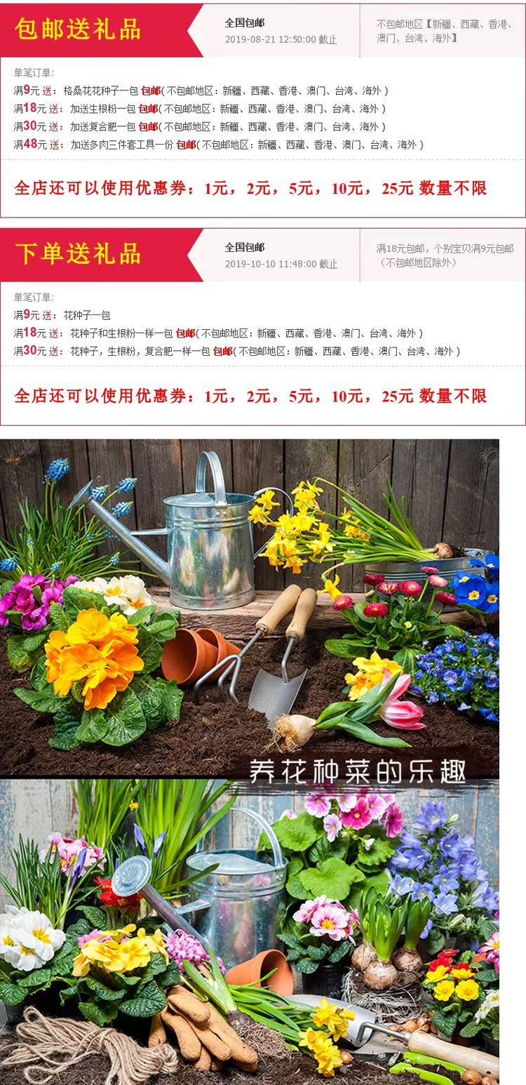 Dụng cụ thương hiệu Wocai Dụng cụ làm vườn Trồng dụng cụ cấy ghép nhíp nhỏ Xẻng cao su mục đích kép - Nguồn cung cấp vườn vòi phun nước tưới cây