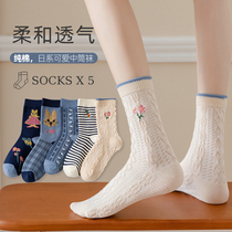 Stockings Children of the Long Sox Children Summer thin Pure Cotton Cute Cartoon Day Ensemble Kinematics Growth Cylinder Spring Autumn Wins