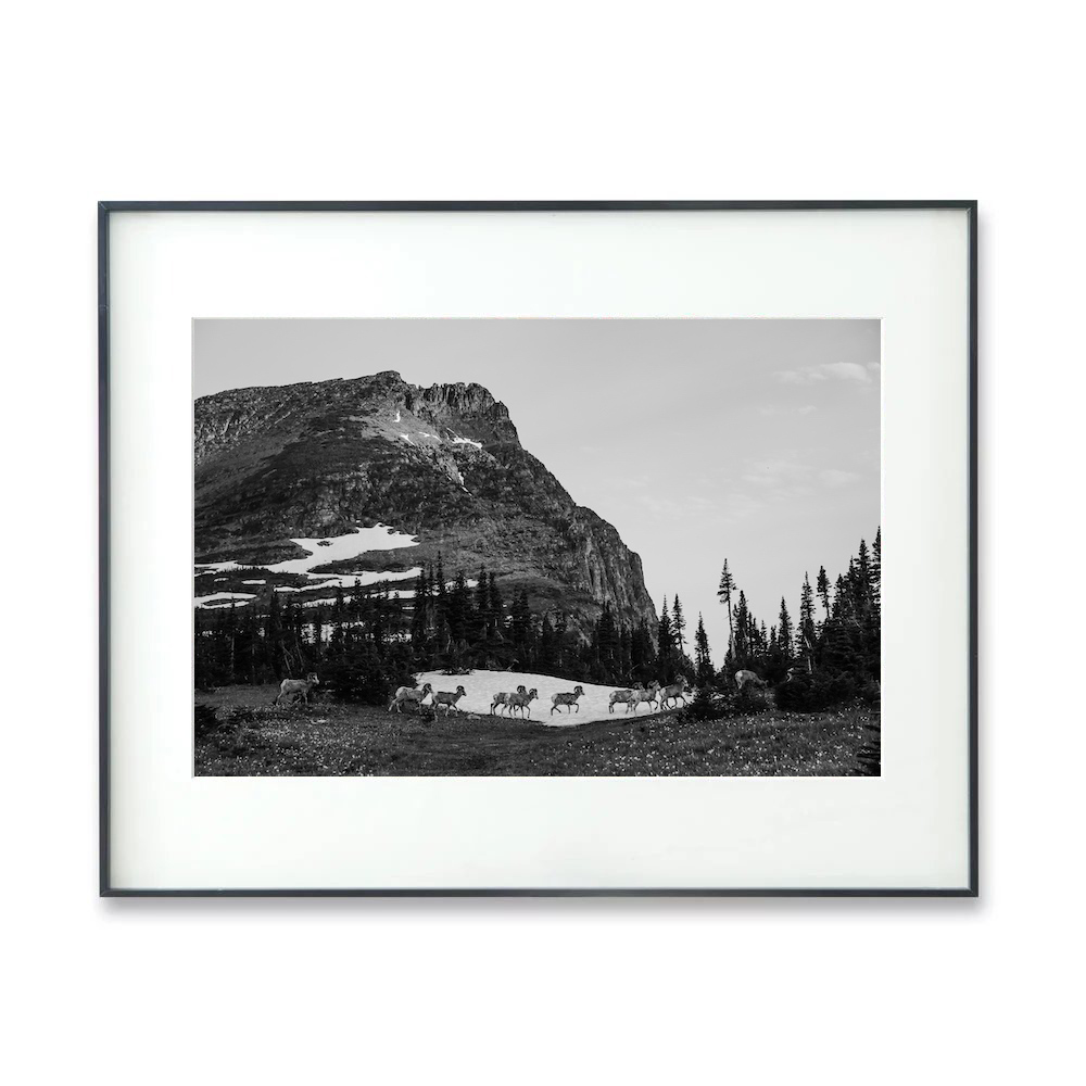 Yosemite Grand Canyon Western United States black and white landscape photography Zhang Zhuo narration authorized simple decorative painting