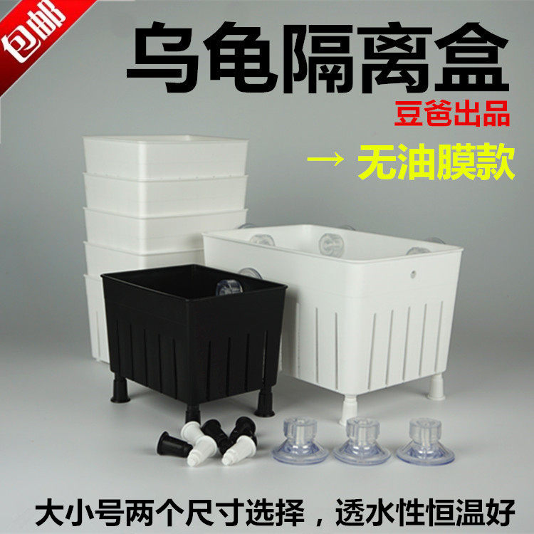 Tortoise hair color box turtle seedling isolation box jars heated to raise live Brazilian guppy watching back medaka hatching