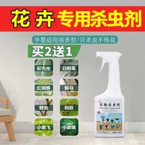 Hydrangea household insecticide indoor insecticide flower plant anthelmintic green plant potted insect repellent spray