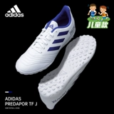 Adidas, Tom Ford, детские бутсы для мальчиков для тренировок, с шипами