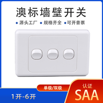 Australian Standard RV Container Wall Switch SAA Certification New Zealand Australia Solomon Standard Type 118