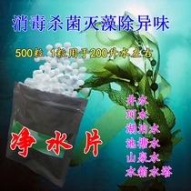 Water purification tablets drinking water disinfection sterilization algae removal deodorization water purification well water water tower water tank disinfection tablets 500 tablets