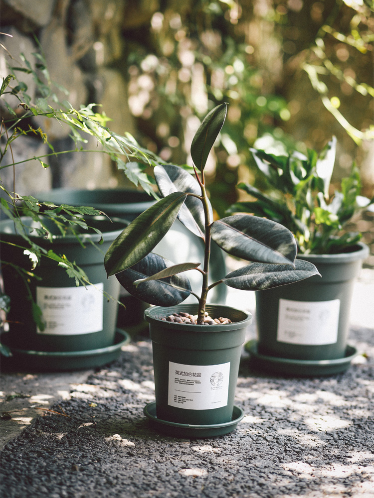 1 2 3 4 gallon flower pot with tray Plant special balcony Household plastic flower pot round