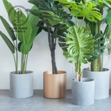 Северный цветочный горшок творческий современный минималистский цементный стеклянный волокно, усиленное волокно, цветочные цветочные цветочные цветочные цветочные цветы.