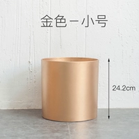 Золотая трансфета (отправлена ​​после года)