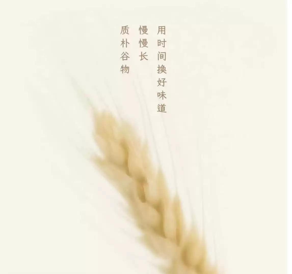 朴下隆九拇指红豆朴牛轧饼干蛋挞黄油曲奇酥饼下午茶曲奇挞-淘宝Taobao | 天猫Tmall