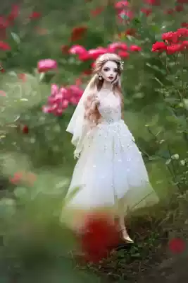 BJD SD small cloth doll clothing pattern tutorial material package Evening Primrose bride 3 points 4 points echo town ob27