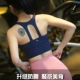 Đồ lót thể thao chống sốc chuyên nghiệp cường độ cao dành cho nữ